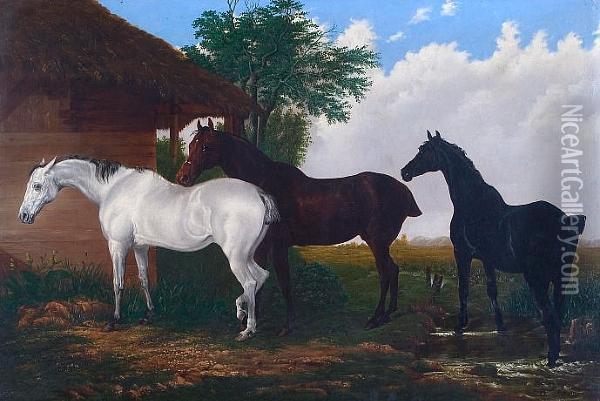 A Bay And Gray Mare With Black Foal, Beside A Thatched Farm Building Oil Painting - John Frederick Herring Snr