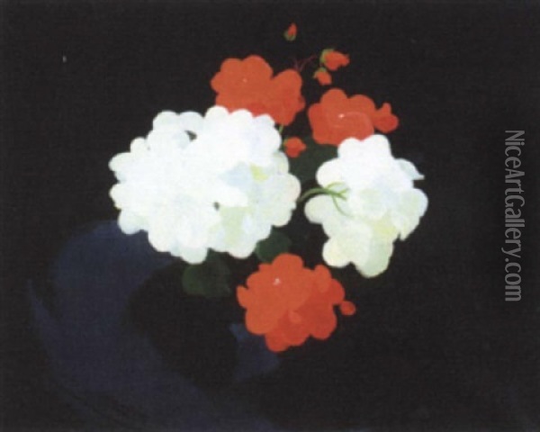 Red And White Geraniums Oil Painting - Stuart James Park