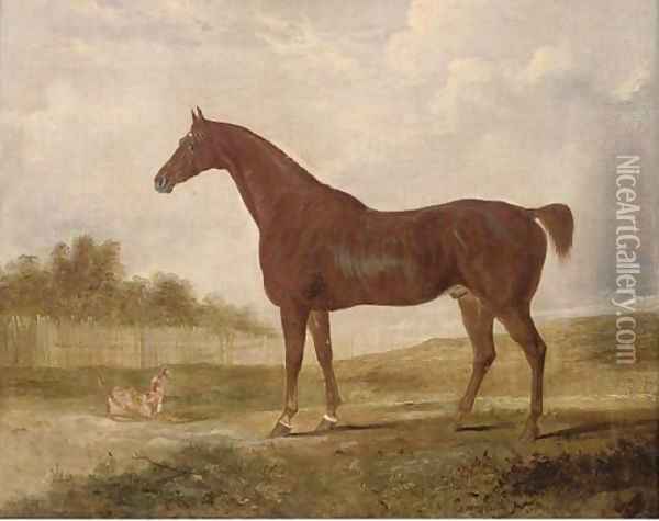 A chestnut hunter and a terrier in an extensive landscape Oil Painting - Edwin Cooper