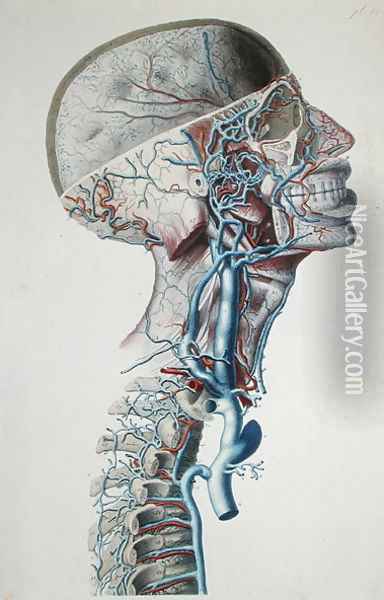 Veins and arteries in the head, plate from 'Recherches Anatomiques, Physiologiques, et Pathologiques sur le System Veineux', 1829 Oil Painting - Antoine Chazal