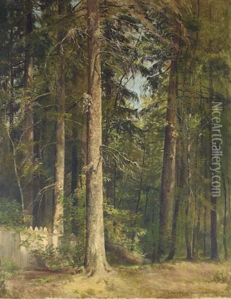At The Edge Of The Forest Oil Painting - Ivan Shishkin
