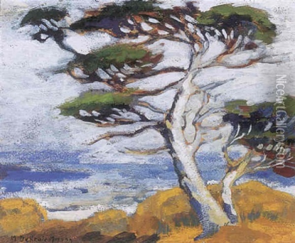 Monterey Cypress Oil Painting - Mary Deneale Morgan