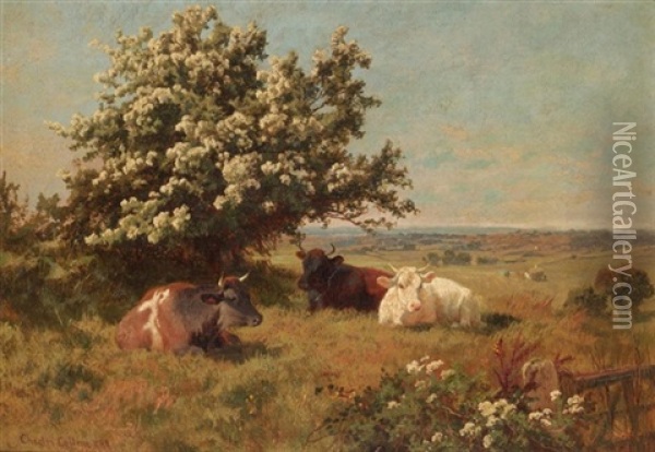 Cows In A Meadow Oil Painting - Charles Collins II