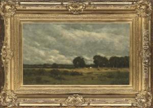 Cattle Grazing In The Fields Oil Painting - Arthur Douglas Peppercorn
