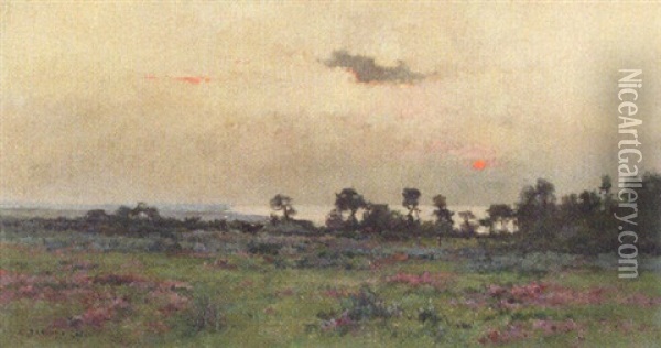 Sunset Over The Meadow Oil Painting - Pierre Emmanuel Eugene Damoye