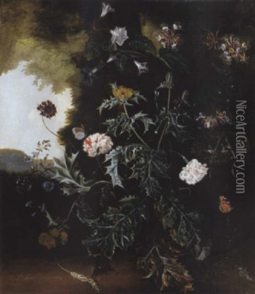 A Forest Floor Still Life With A Prickly Poppy, Carnations, Honeysuckle And Other Flowers With A Bird's Nest, Butterflies, A Caterpillar, A Lizard And A Mouse Oil Painting - Alida Withoos