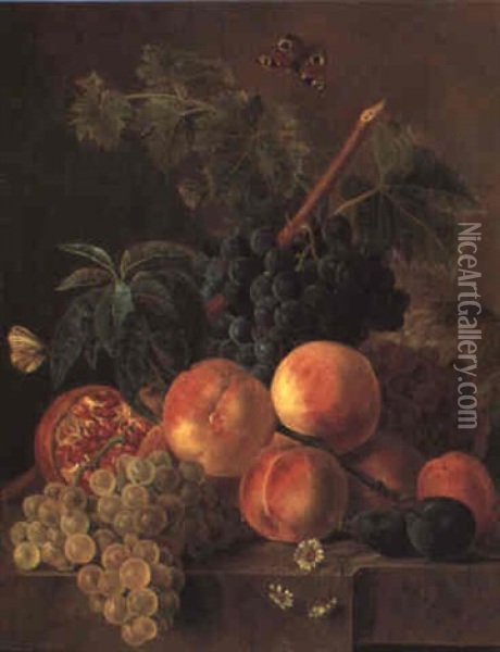 Still Life With Grapes, Other Fruit And Flowers On A Stone Ledge Oil Painting - Jan Frans Van Dael