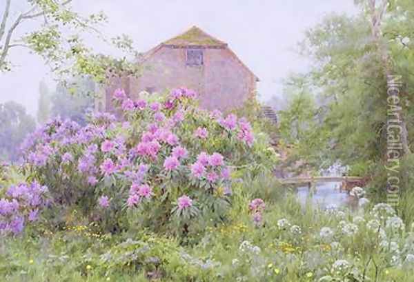 Rhododendrons by a watermill Oil Painting - George Marks