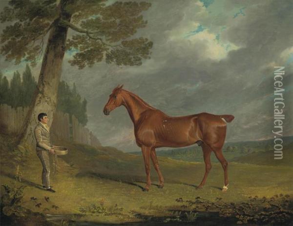 A Chestnut Hunter And A Groom In A Wooded Landscape Oil Painting - John Frederick Herring Snr