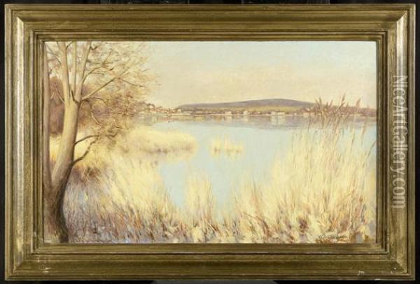 Landscape With A Lake Oil Painting - William Rothlisberger