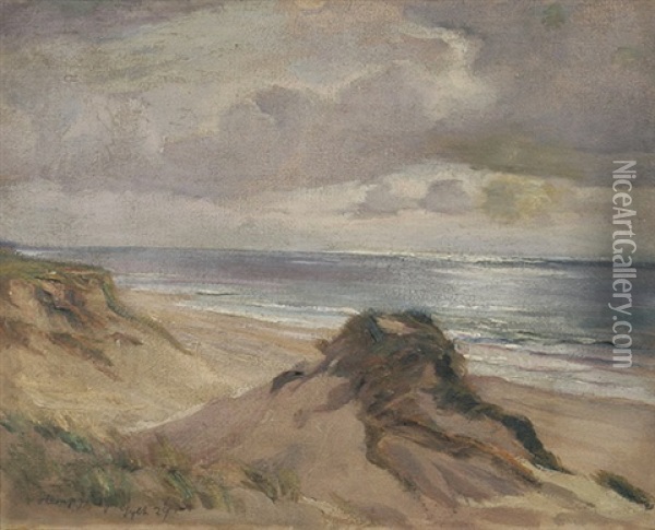 Dunen An Der Sylter Kuste Oil Painting - Wilhelm Hempfing