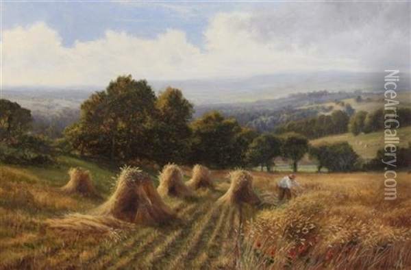 Harvester In A Cornfield On The South Downs Oil Painting - Edmund George Warren