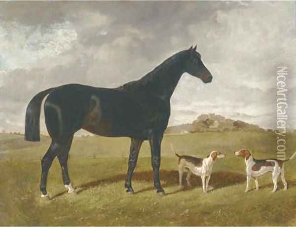 A dark brown hunter with two hounds in a landscape, with Brindle Church, Lancashire, beyond Oil Painting - Henry Woollett
