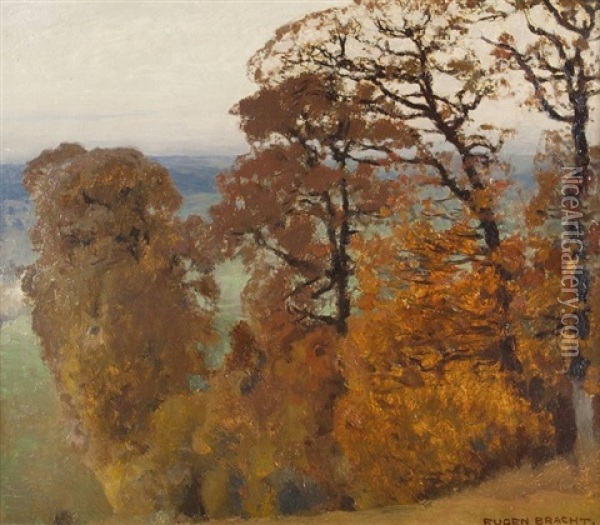Herbstlicher Wald Oil Painting - Eugen Felix Prosper Bracht