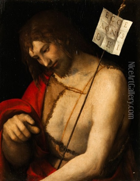 Johannes Der Taufer Oil Painting -  Correggio