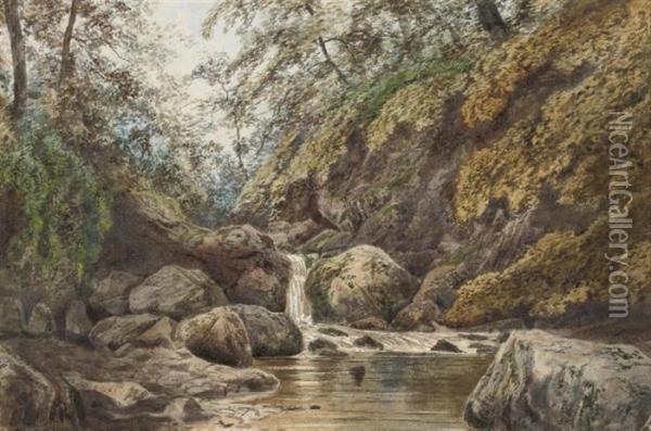A Peaceful Spot In The Woods Oil Painting - John William Buxton Knight