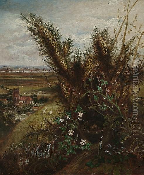 A Still Life Of Wild Flowers And
 A Birds Nest, An Extensive View To A Church And River Beyond Oil Painting - Albert Durer Lucas