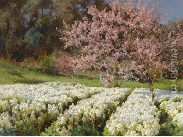 Spring Blossom Oil Painting - Josif Evstaf'Evic Krackovskij