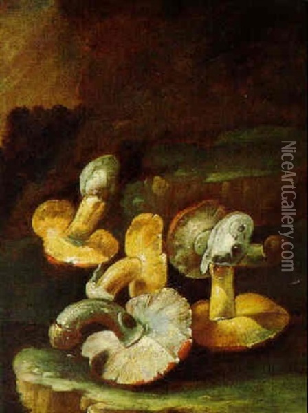 Natura Morta Con Funghi Oil Painting - Paolo Cattarama