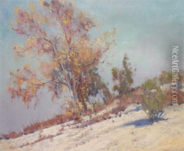 Early Morning, Palm Springs Oil Painting - Alson Skinner Clark