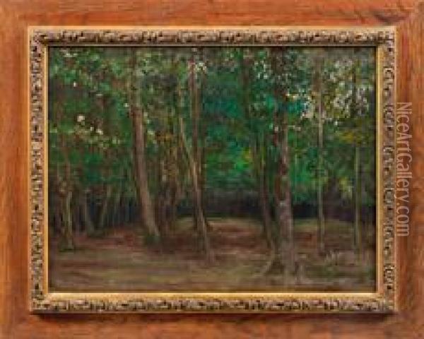 Impressionistischelandschaft Mit Blick Auf Einen Waldrand Oil Painting - Leopold Karl Walter von Kalckreuth