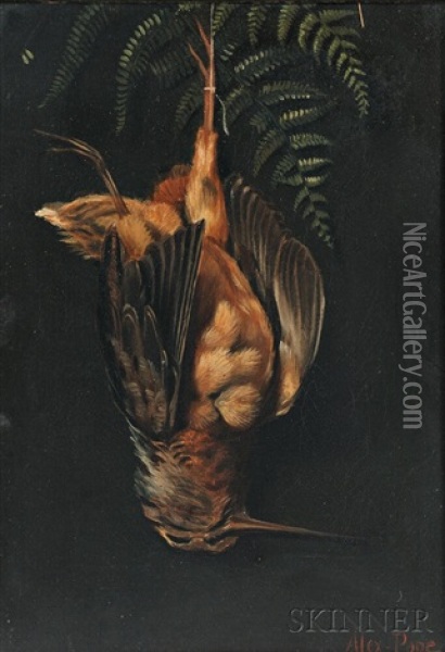 Hanging Woodcock With Fern Oil Painting - Alexander Pope