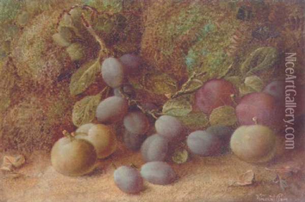 Plums And Greengages On A Mossy Bank Oil Painting - Vincent Clare