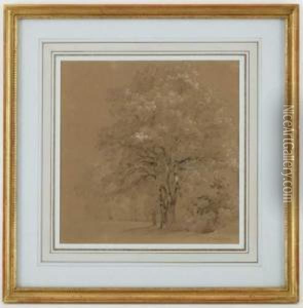 Etude D'arbres Oil Painting - Jean Antoine Linck