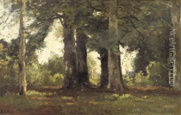 A Forest Oil Painting - Theophile Emile Achille De Bock