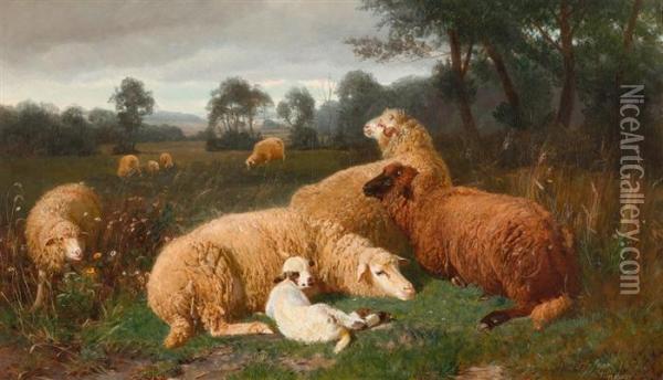 Sheep Resting In Aresing Landscape Oil Painting - Johann Baptist Hofner