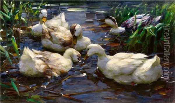 Five Ducks On The Water Oil Painting - Alexander Max Koester