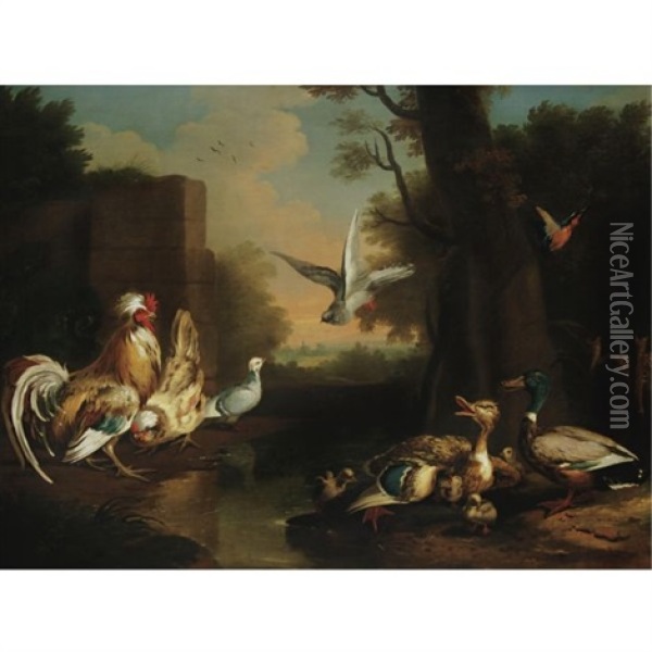 A Rooster, Hen, Ducks And Other Birds In A Landscape Oil Painting - Pieter Casteels III