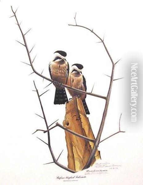 Falconets Oil Painting - Richard Evans