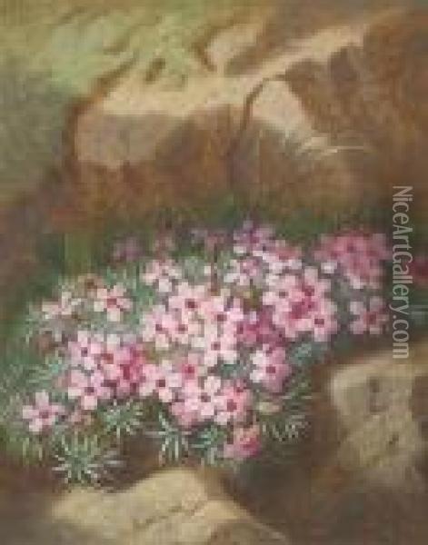 Alpine Flowers Oil Painting - Josef Schuster