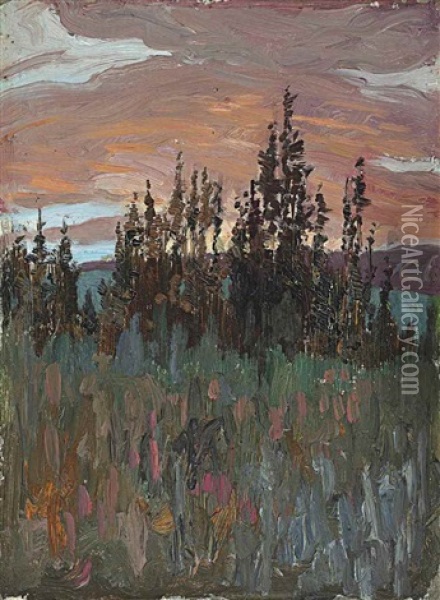 North Country, Near Burks Falls, Ontario Oil Painting - James Edward Hervey MacDonald
