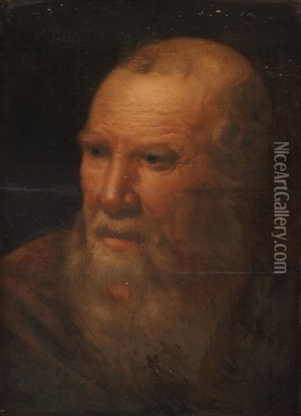 The Head Of A Bearded Man, Oil Painting - Jacob Jordaens