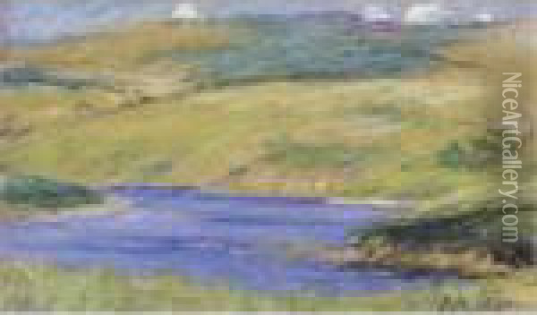 The Reservoir At Nunraw Oil Painting - Patrick William Adam