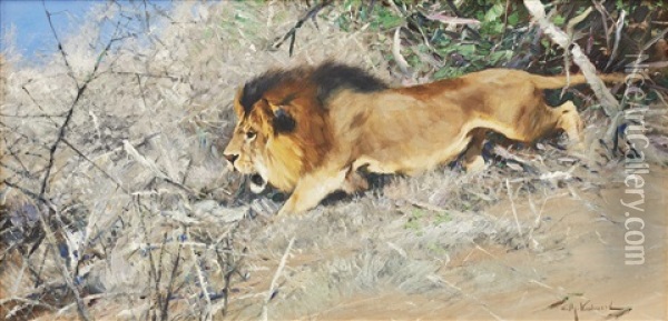 The Stalking Lion Oil Painting - Wilhelm Friedrich Kuhnert