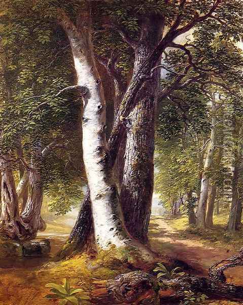 Woodland Path 1845-1850 Oil Painting - Asher Brown Durand