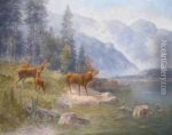 Rotwild Am Seeufer Oil Painting - Ludwig Skell