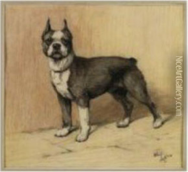 A Boston Terrier Oil Painting - Cecil Charles Aldin