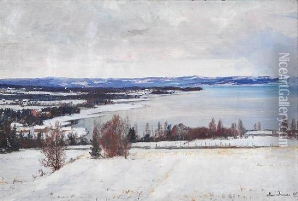 Kystlandskap, Vinter 1895 1895 Oil Painting - Marie Tannaes