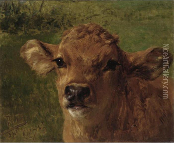 Head Of A Calf Oil Painting - Rosa Bonheur