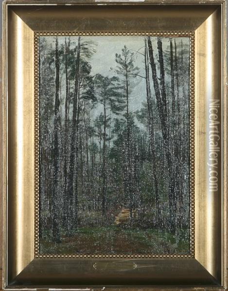 A Spruce Forest Oil Painting - Christian Zacho