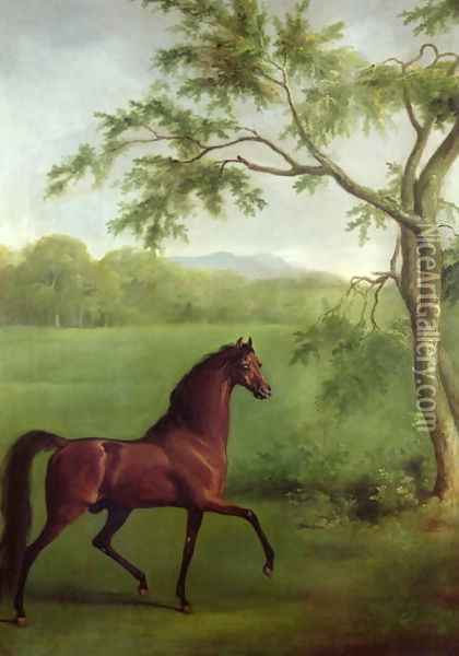 An Arabian Stallion beneath a Tree, c.1761-63 Oil Painting - George Stubbs