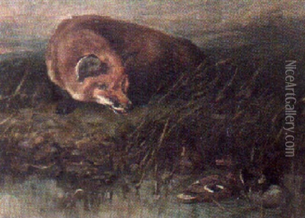 Fox And Ducks Oil Painting - John Emms