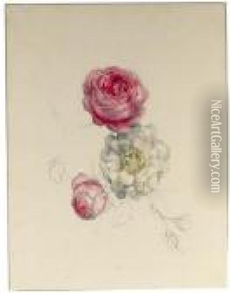 A Study Of White And Pink Roses Oil Painting - Geraldine Jacoba Van De Sande Bakhuyzen