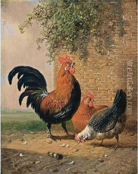 Poultry In A Landscape Oil Painting - Albertus Verhoesen