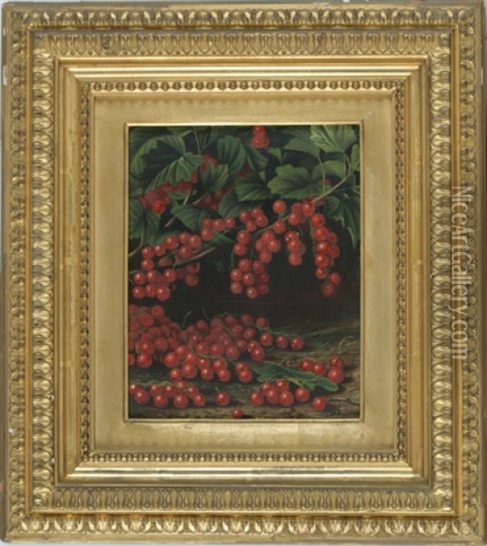 Currants Growing On A Vine Oil Painting - Levi Wells Prentice