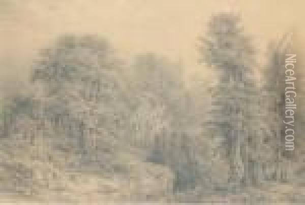 Un Paysage Forestier Avec Des Rochers Oil Painting - Theodore Rousseau